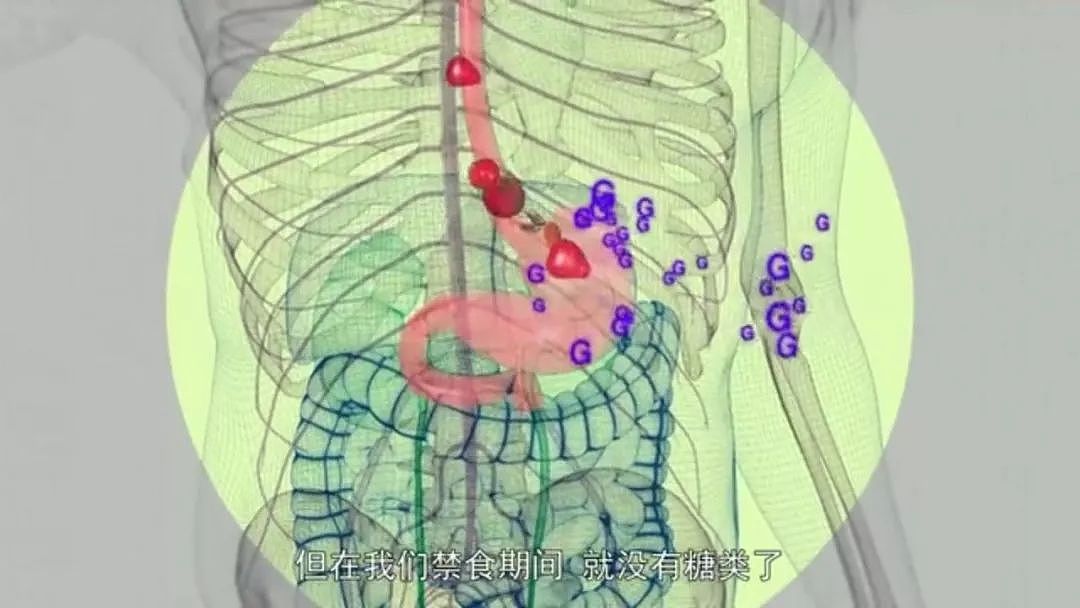 以为少吃就能瘦？BBC纪录片扎心揭秘：人胖分3种，有些人节食根本瘦不下来（组图） - 63