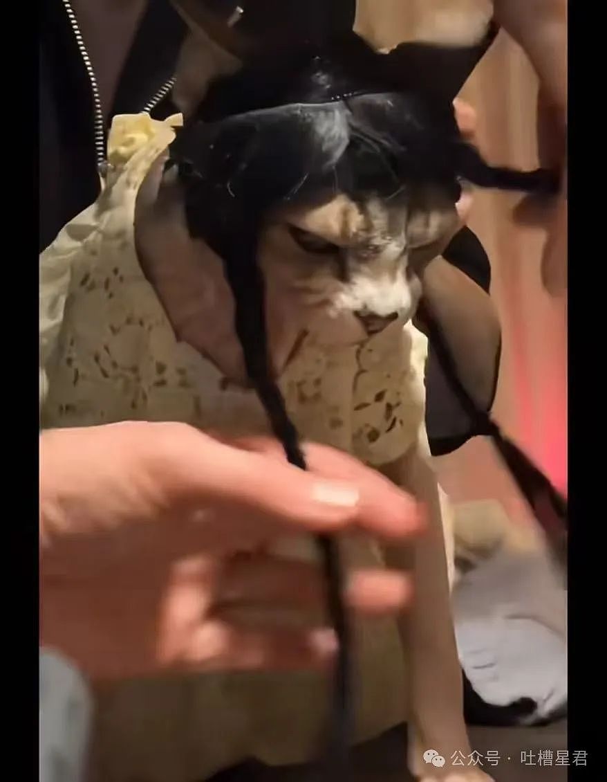 【爆笑】“网购被无良商家欺骗能有多搞笑？”哈哈哈商家你的良心不会痛吗（组图） - 53