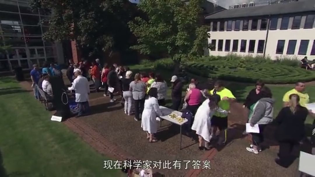 以为少吃就能瘦？BBC纪录片扎心揭秘：人胖分3种，有些人节食根本瘦不下来（组图） - 11