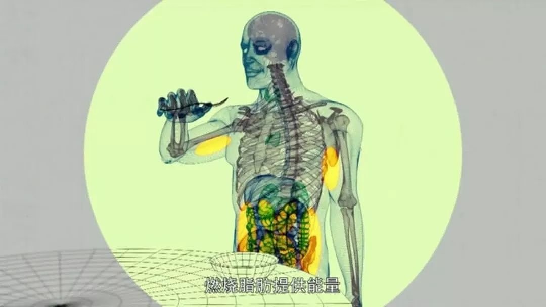 以为少吃就能瘦？BBC纪录片扎心揭秘：人胖分3种，有些人节食根本瘦不下来（组图） - 64