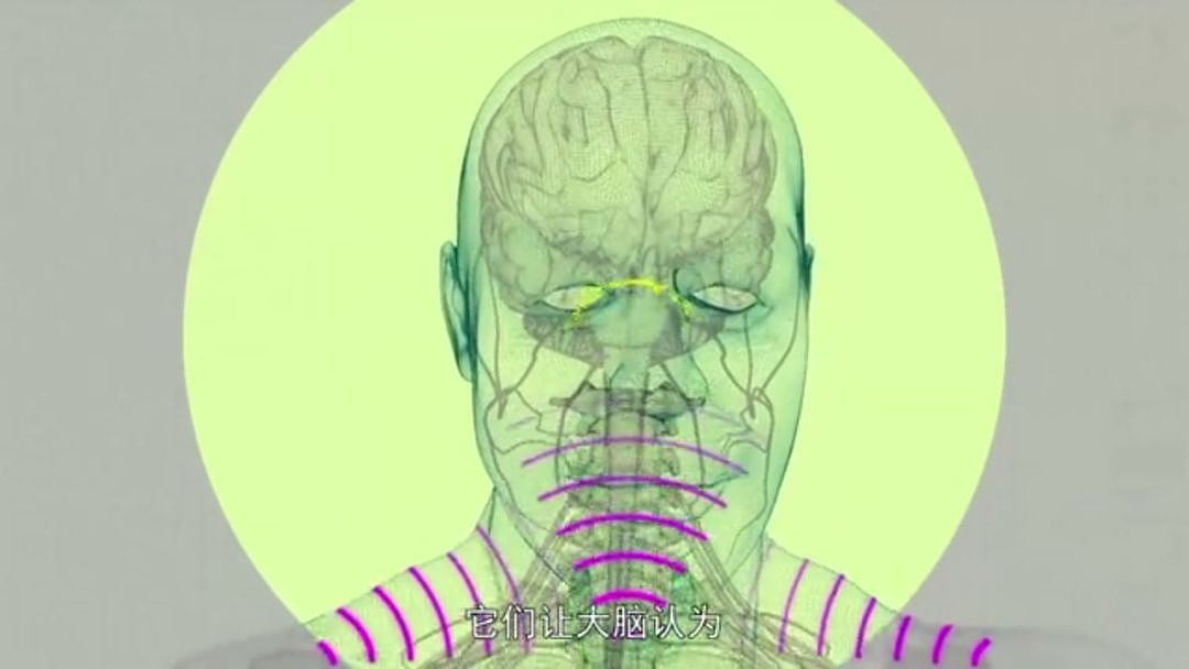 以为少吃就能瘦？BBC纪录片扎心揭秘：人胖分3种，有些人节食根本瘦不下来（组图） - 60