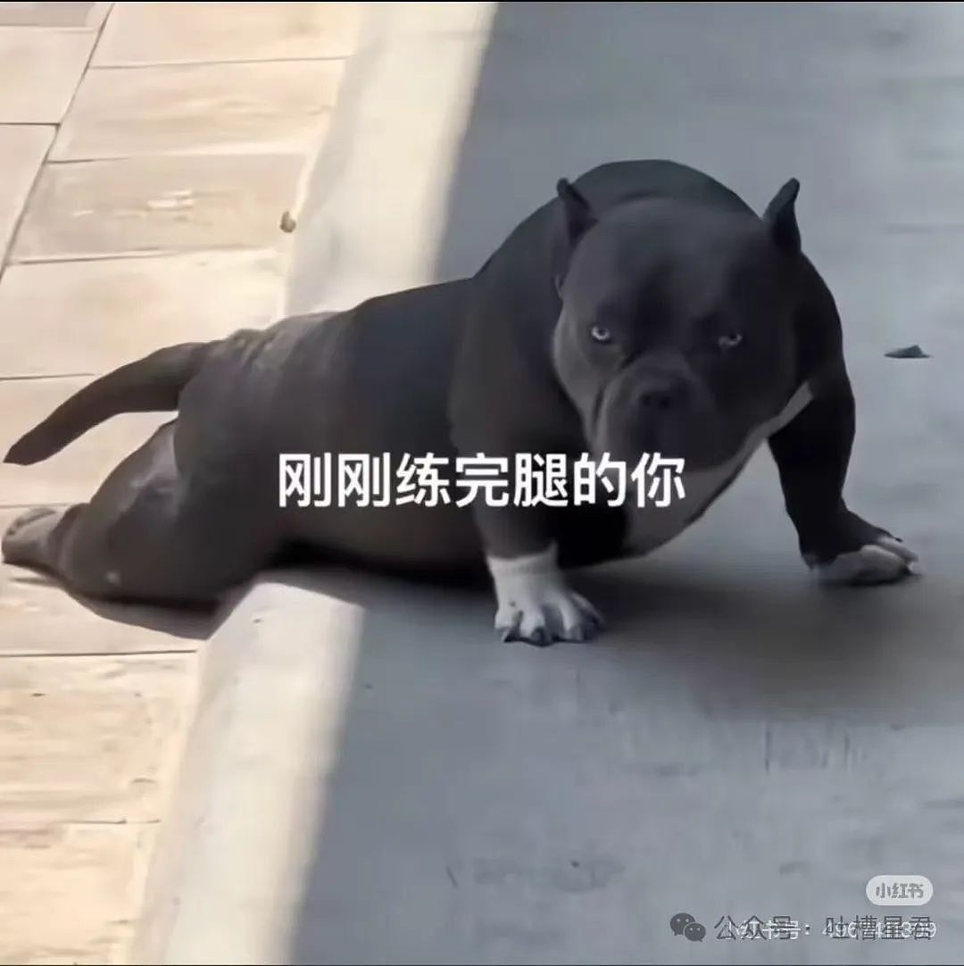 【爆笑】“网购被无良商家欺骗能有多搞笑？”哈哈哈商家你的良心不会痛吗（组图） - 101