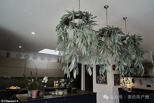 用7年时间，花费数百万，为过敏严重的孩子打造“健康之家”！为孩子拼尽一切，让人泪目！（组图） - 10