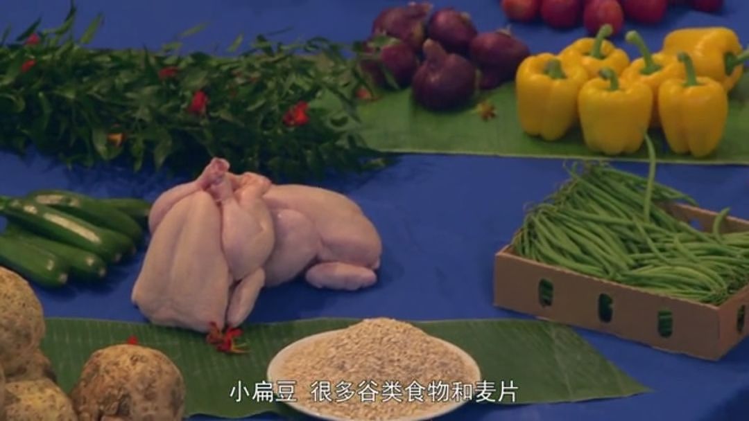 以为少吃就能瘦？BBC纪录片扎心揭秘：人胖分3种，有些人节食根本瘦不下来（组图） - 73
