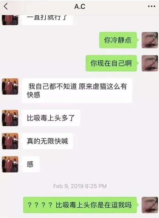 华男被新西兰要求限期离境！“这种行为太恶心了！”悉尼也曾爆发类似案件，有人愤怒：应该遣返...（组图） - 9