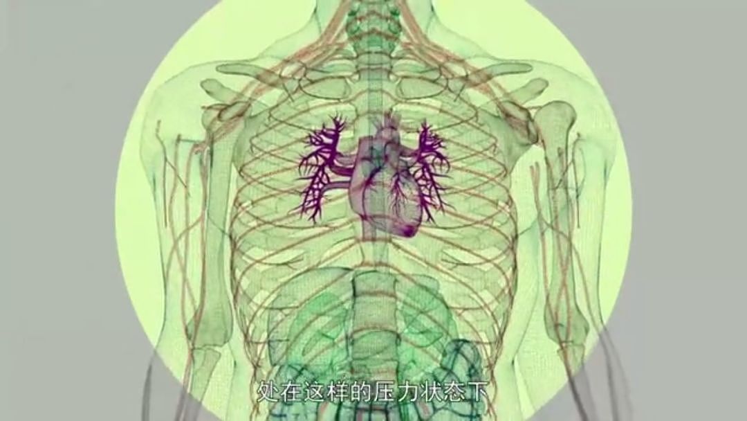 以为少吃就能瘦？BBC纪录片扎心揭秘：人胖分3种，有些人节食根本瘦不下来（组图） - 107
