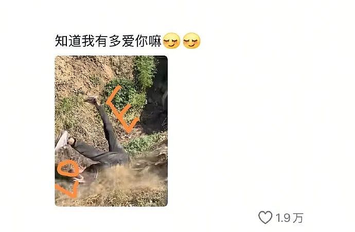 【爆笑】和男朋友在不同的公共场合舌吻！还被 3.7 万人围观？（组图） - 14