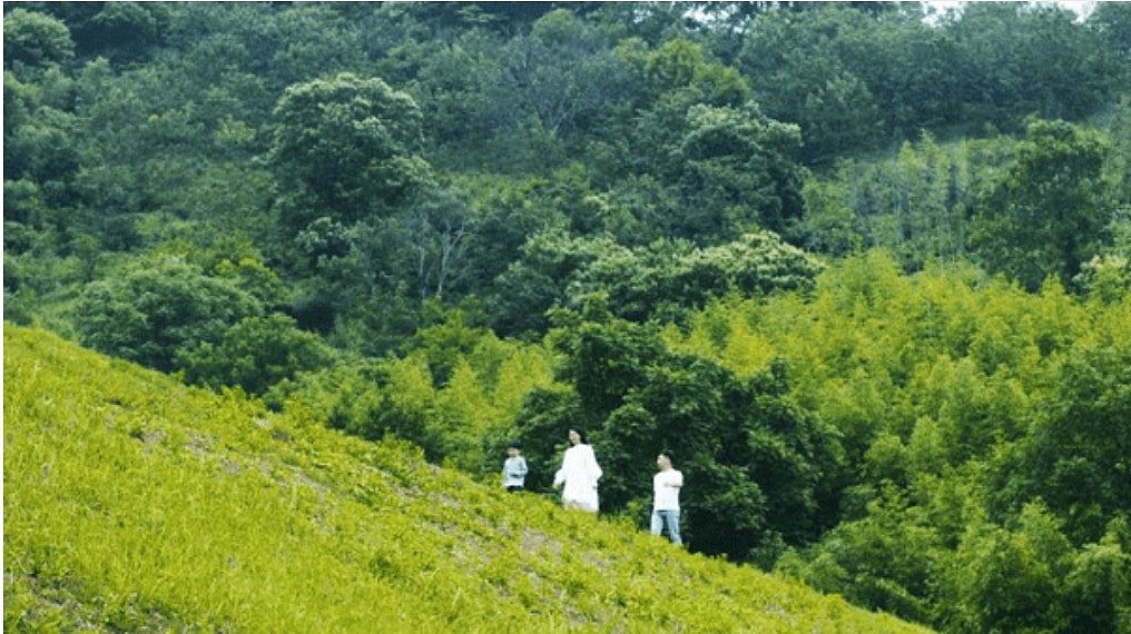 “返乡下买楼”平到不住也无损失?深圳人揭辛酸:现在后悔已太迟(组图) - 7