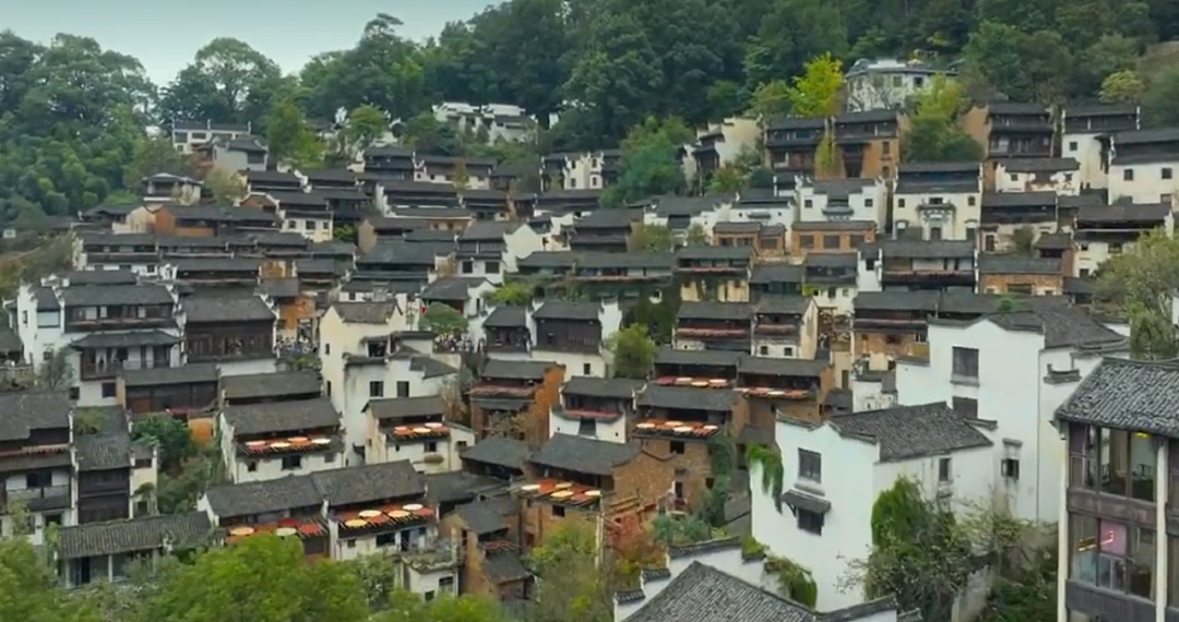 BBC真人秀来中国拍摄引热议!情侣选手三蹦子车后接吻,母子选手滞留了36个小时才出北京...(组图) - 14
