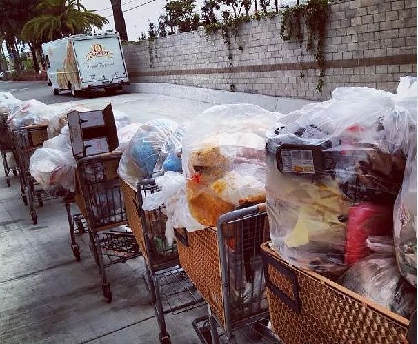 加国华人宝妈血泪警告：Costco购物车运垃圾视频曝光后，我儿子住进了ICU…（组图） - 12