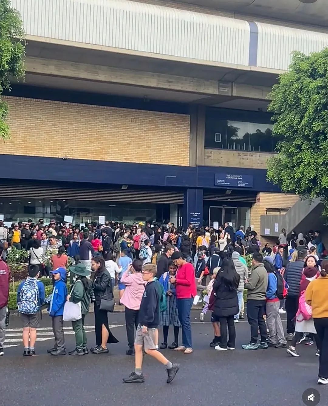 悉尼OC考试突发取消！现场一片混乱，连警察都出动了！今天官方宣布补救计划...（组图） - 6