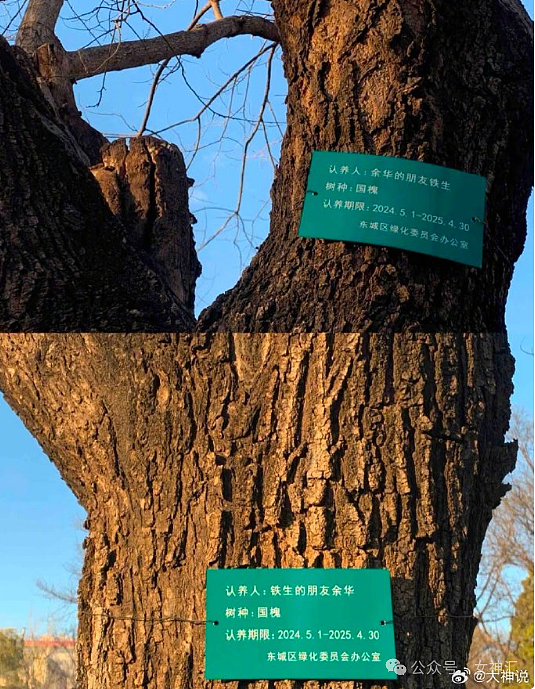 【爆笑】“五一过生日男朋友转了52块钱？”网友夺笋：你们都谈的这样的对象吗？（组图） - 31
