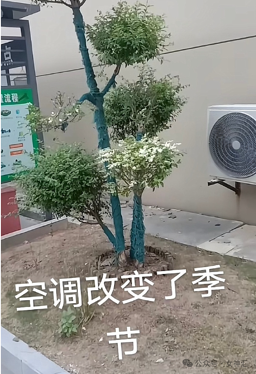 【爆笑】“五一过生日男朋友转了52块钱？”网友夺笋：你们都谈的这样的对象吗？（组图） - 21