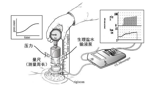 【两性】怎么科学的测量你的丁丁有多硬？（组图） - 17