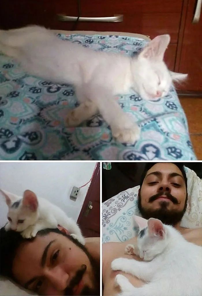 【宠物】民警小哥捡到一只小橘猫，带回派出所签卖身契，网友看完合照笑喷：它真是自愿的吗（组图） - 18