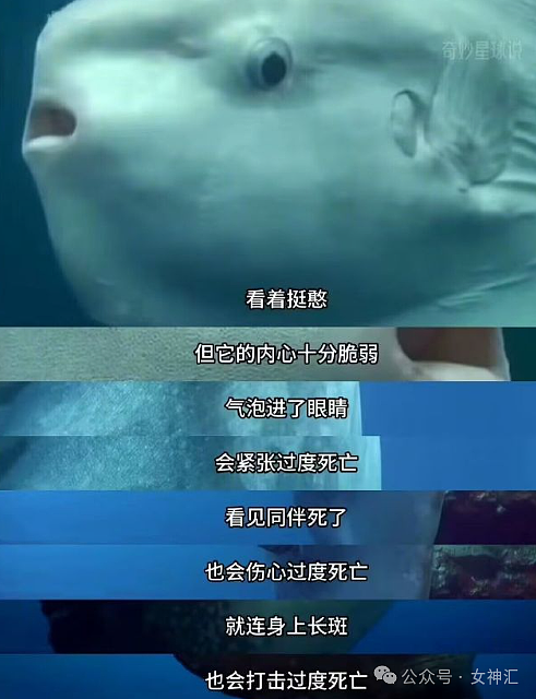 【爆笑】“五一过生日男朋友转了52块钱？”网友夺笋：你们都谈的这样的对象吗？（组图） - 43