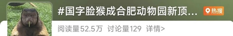 “颜值”出圈！这只猴竟“丑”上热搜了，保育员：属于耐看型（组图） - 1
