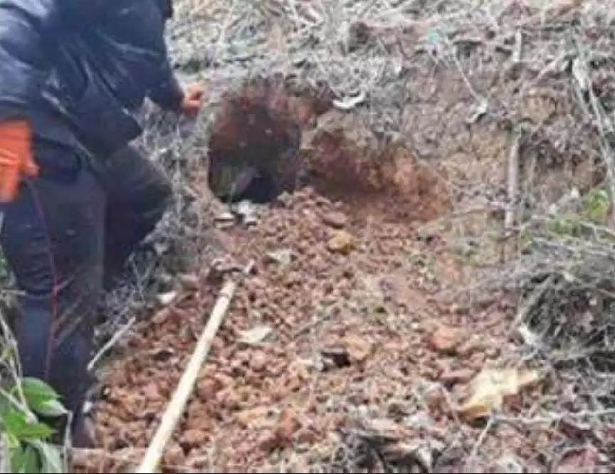 河南万人公审现场，恶魔刘国胜被当众枪决，变态程度常人无法想象（组图） - 2