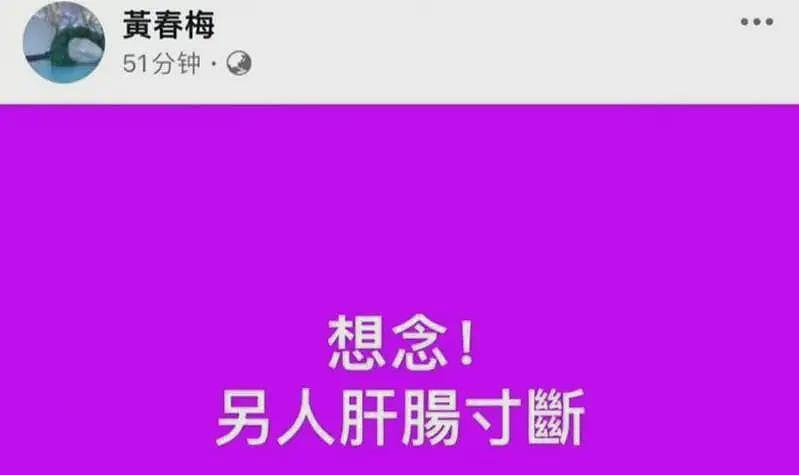 具俊晔曝未离台原因，汪小菲麻烦事一堆，大S的愿望依然没能实现（组图） - 6