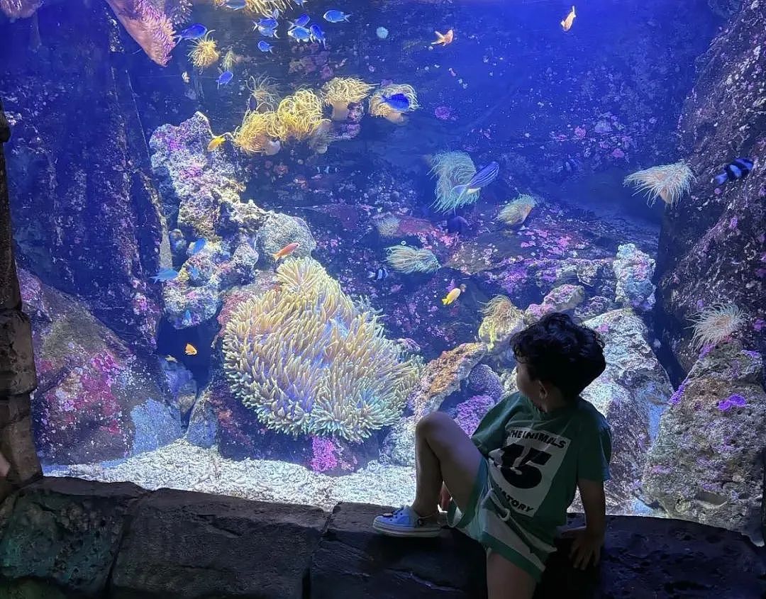 是妈妈就免费！悉尼Sea Life母亲节活动来袭，快来预约（组图） - 4