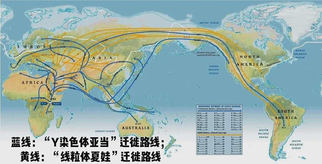 继“男性患子宫肌瘤”后又一奇文：马克思是中国人（组图） - 27