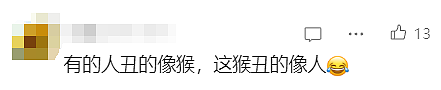 “颜值”出圈！这只猴竟“丑”上热搜了，保育员：属于耐看型（组图） - 6