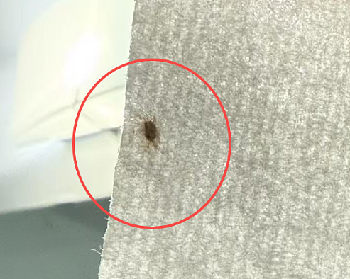 Costco热销品惊现活虫! 华人中招生病 店员操作惹众怒! 一拆封就惹病(组图) - 2