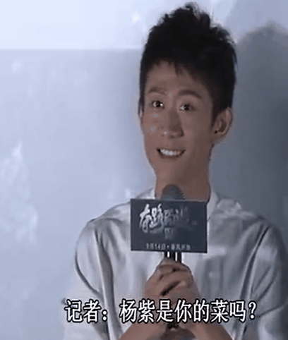 沈腾马丽陷入绯闻，为什么凤凰传奇不会？（组图） - 14