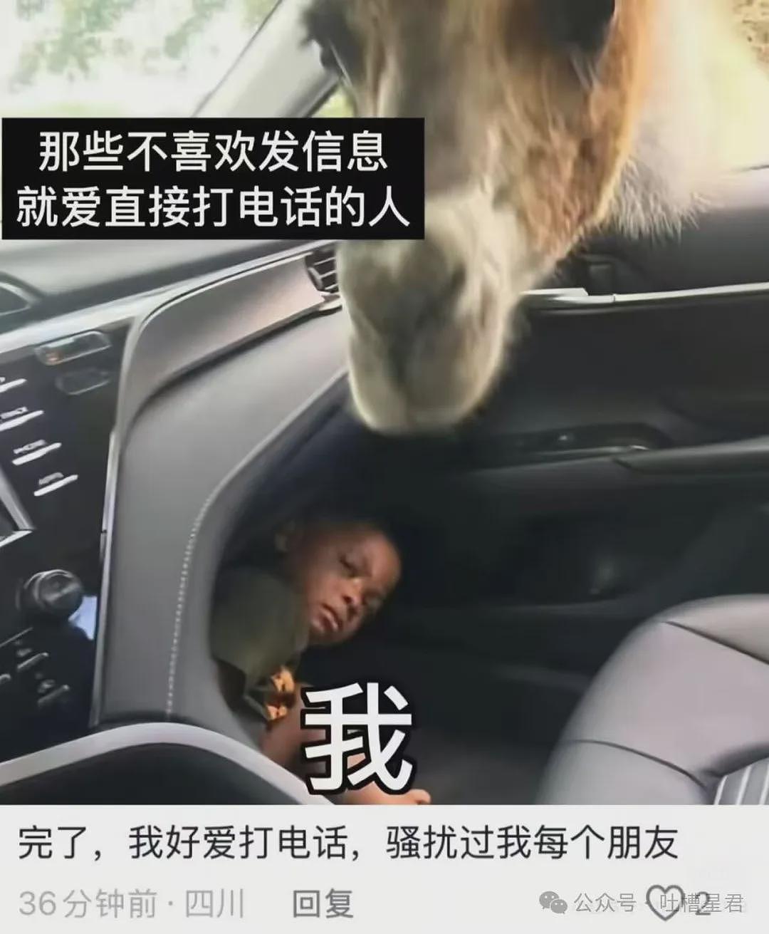 【爆笑】“网购被无良商家欺骗能有多搞笑？”哈哈哈商家你的良心不会痛吗（组图） - 74