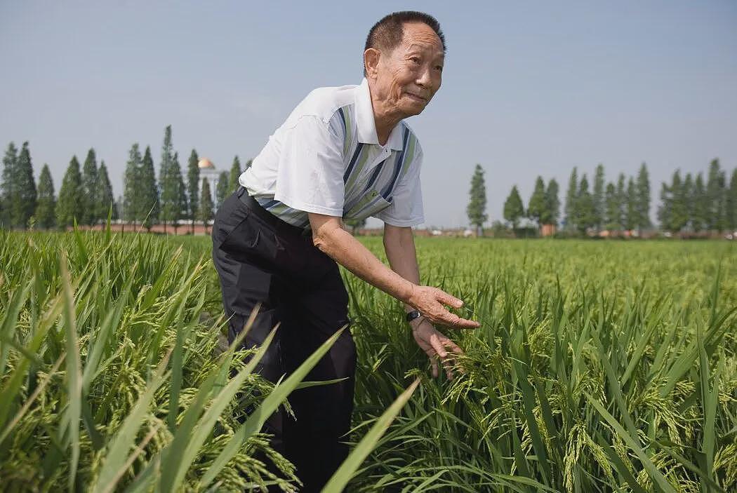 三次落选中国院士,95岁屠呦呦当选美国科学院外籍院士,致敬(组图) - 5