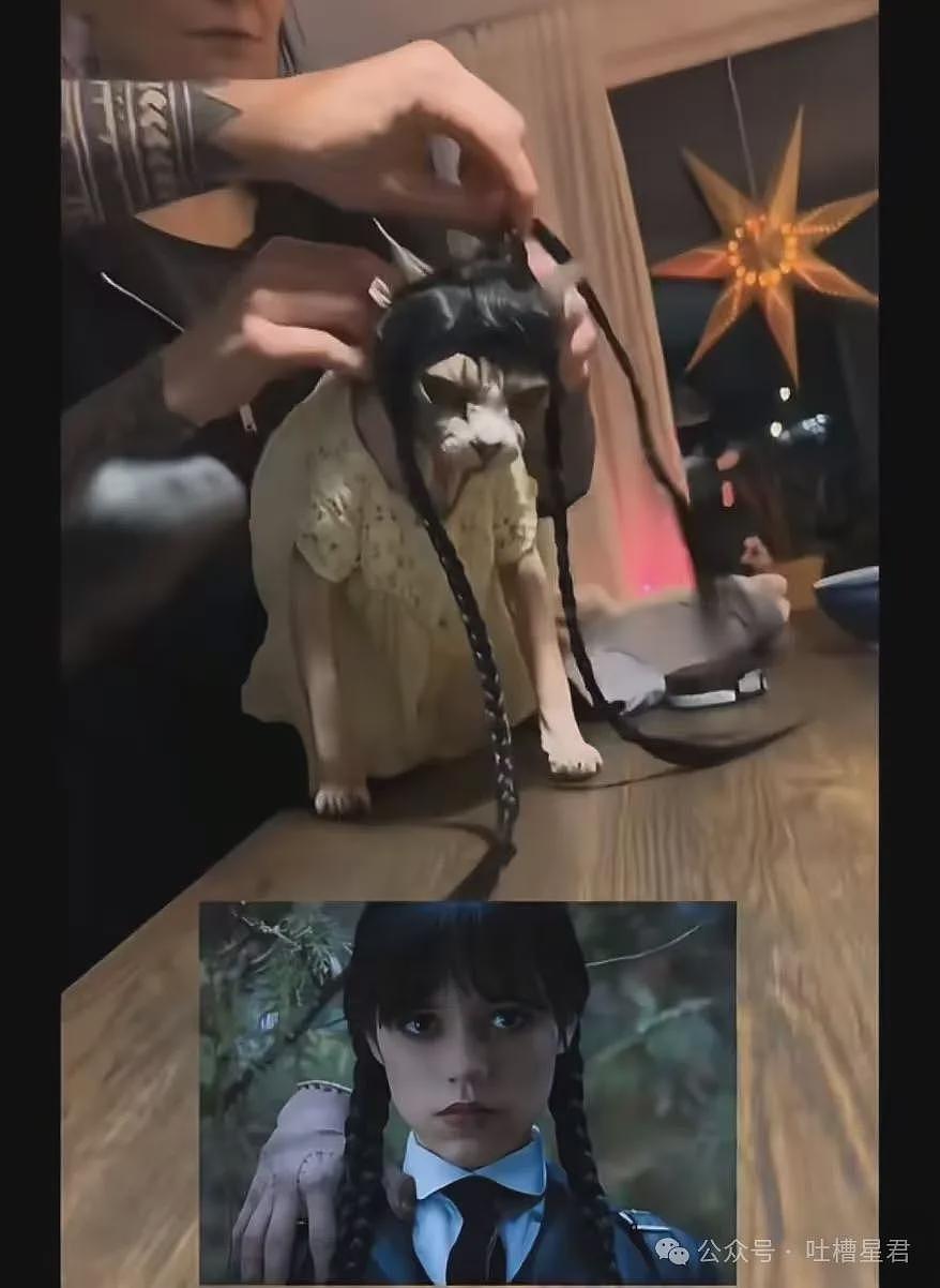 【爆笑】“网购被无良商家欺骗能有多搞笑？”哈哈哈商家你的良心不会痛吗（组图） - 53