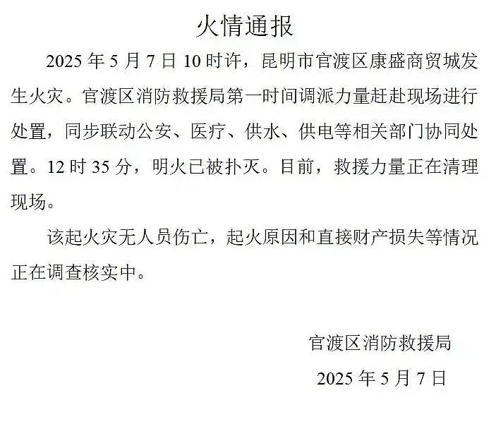 云南昆明商贸城突发大火！现场升厚厚黑烟，商舖或损失几百万元（组图） - 5