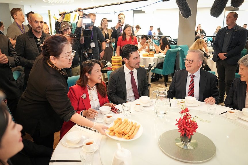 澳洲自由党参议员简·休姆“中国间谍”论引华人选民强烈抵制（视频/组图） - 6