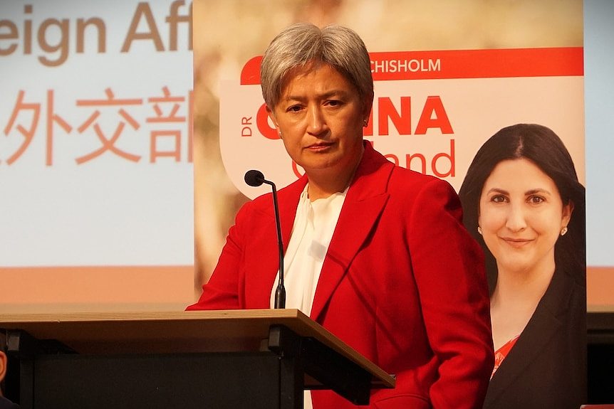 澳洲自由党参议员简·休姆“中国间谍”论引华人选民强烈抵制（视频/组图） - 8