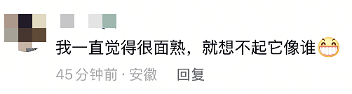 “颜值”出圈！这只猴竟“丑”上热搜了，保育员：属于耐看型（组图） - 12