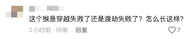 “颜值”出圈！这只猴竟“丑”上热搜了，保育员：属于耐看型（组图） - 13