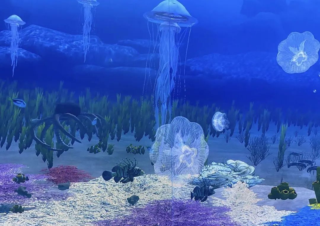 妈妈们注意啦！墨尔本水族馆门票买一送一活动开始啦，只要符合这个条件！（组图） - 6