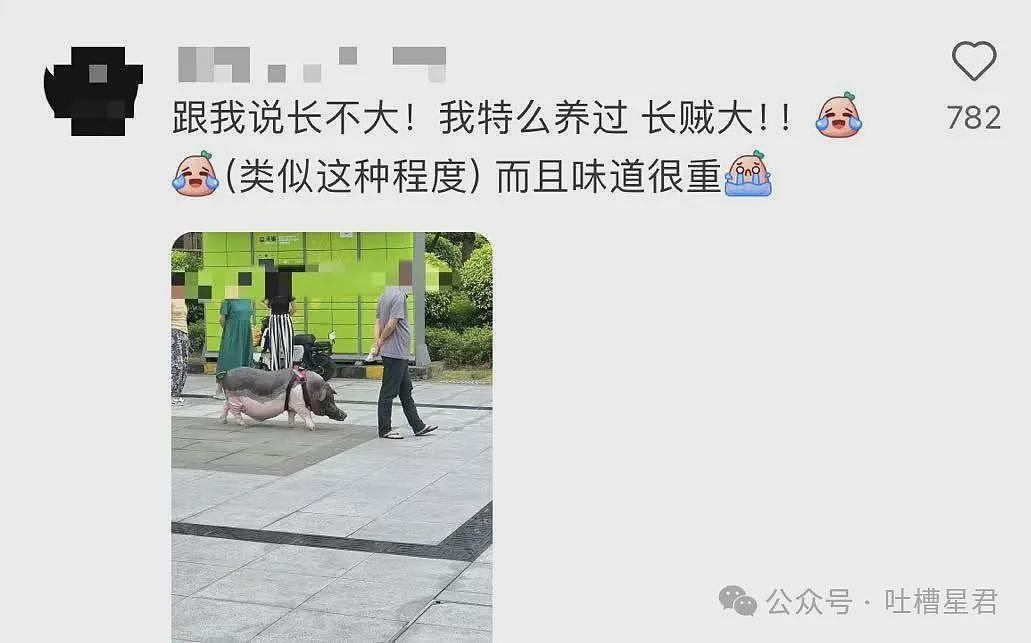 【爆笑】“网购被无良商家欺骗能有多搞笑？”哈哈哈商家你的良心不会痛吗（组图） - 38