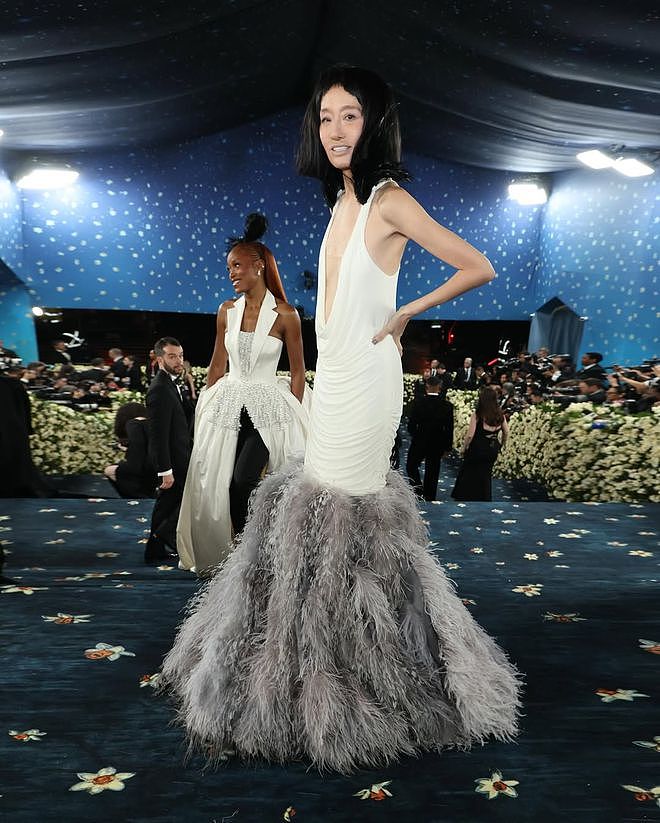 75岁王薇薇亮相MetGala，“衣襟开到肚脐”惹争议，却也被赞无畏（组图） - 1