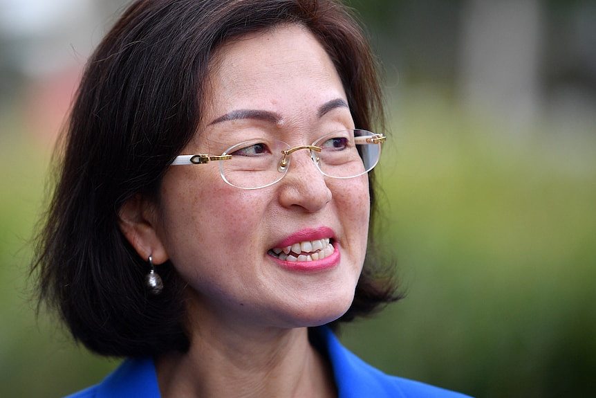 澳洲自由党参议员简·休姆“中国间谍”论引华人选民强烈抵制（视频/组图） - 10