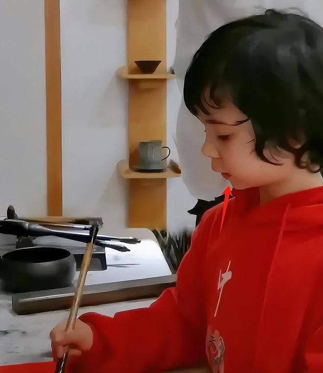 张纪中为娇妻庆生，混血继子站旁边被冷落，下巴后缩网友呼吁关注（组图） - 20
