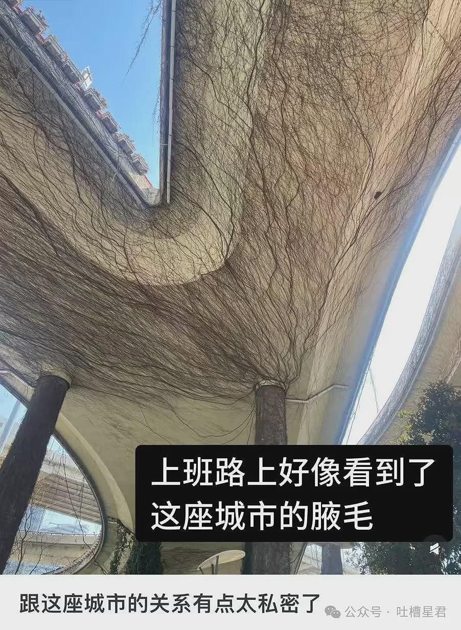 【爆笑】“网购被无良商家欺骗能有多搞笑？”哈哈哈商家你的良心不会痛吗（组图） - 70