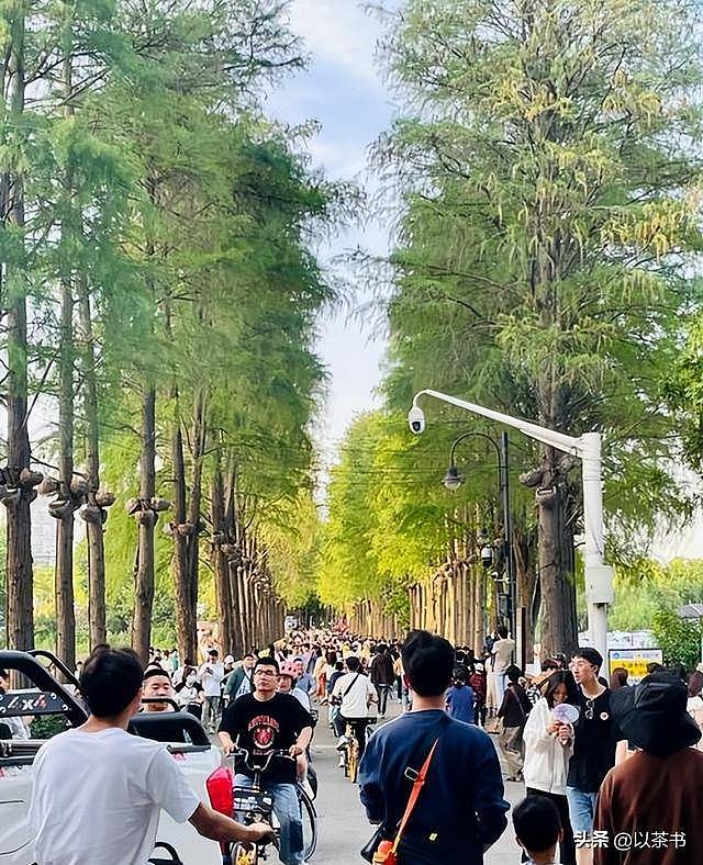 五一最惨十景区：泰山简直要命！第一太太过分（组图） - 11