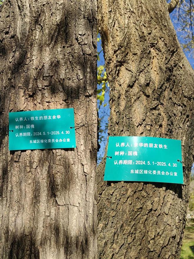 网友喊话余华“地坛公园的树该续费了”,本人发声(组图) - 1