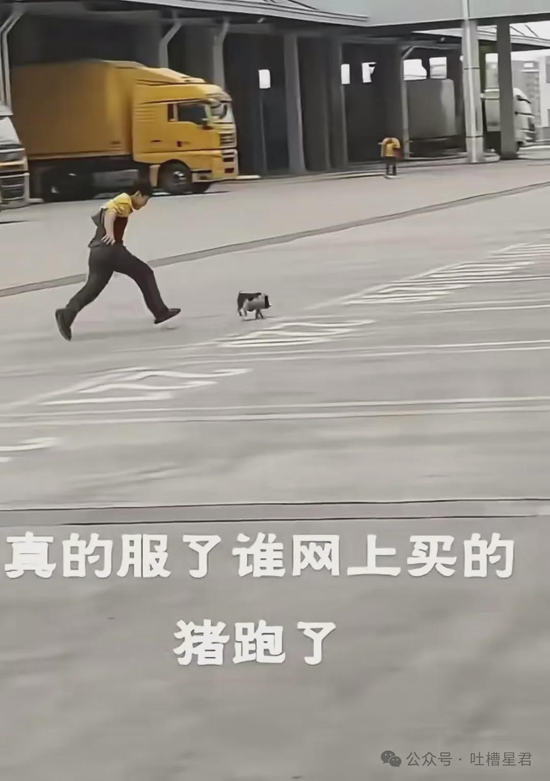 【爆笑】“网购被无良商家欺骗能有多搞笑？”哈哈哈商家你的良心不会痛吗（组图） - 37