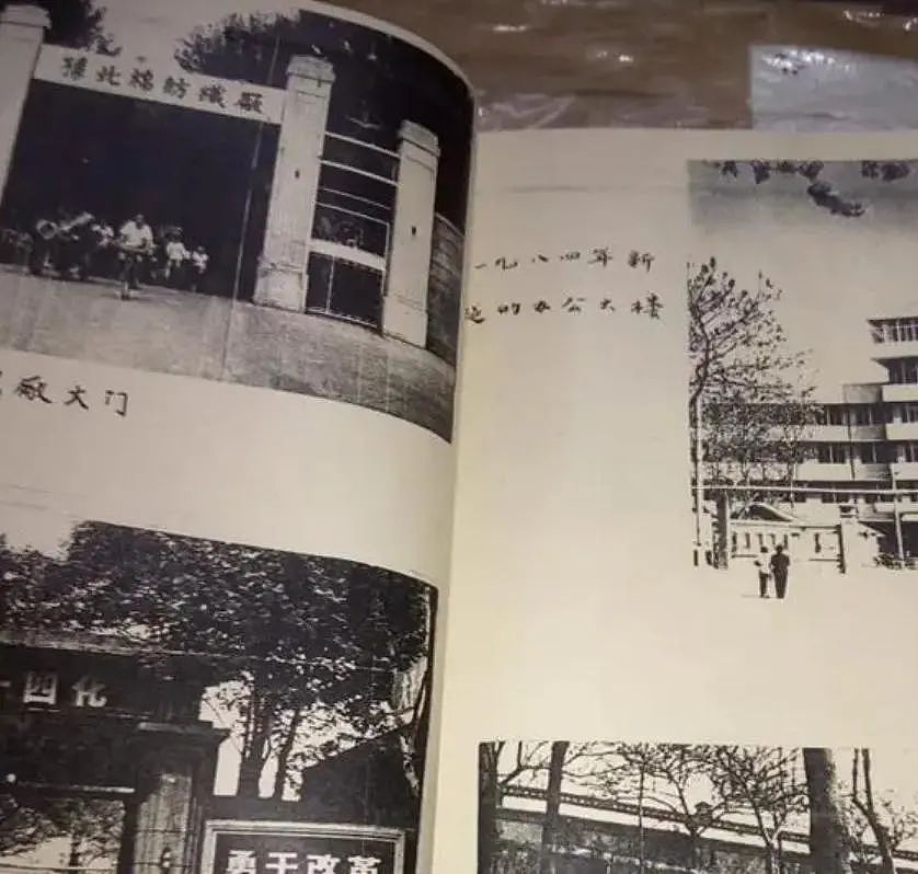 河南万人公审现场，恶魔刘国胜被当众枪决，变态程度常人无法想象（组图） - 10