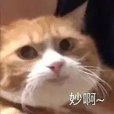 大瓜！北大医学部被爆两年招了48个几内亚比绍学生，他们都是中国人？（组图） - 10