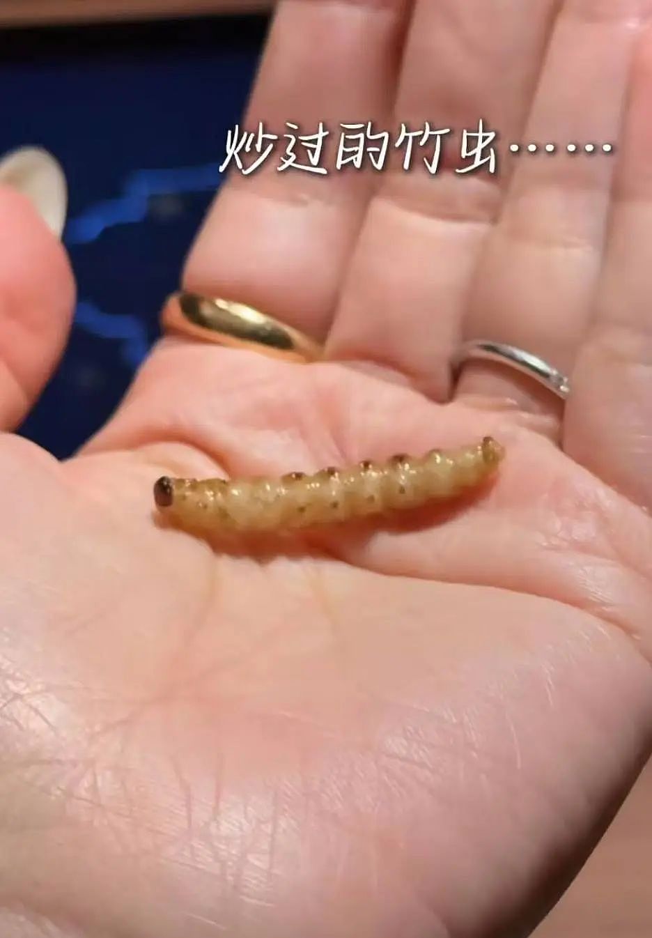 3888元吃大象屎！上海餐厅“毁三观”菜品引热议（组图） - 15