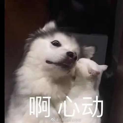 大瓜！北大医学部被爆两年招了48个几内亚比绍学生，他们都是中国人？（组图） - 26
