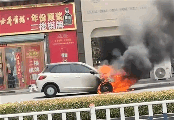 惊悚！中国产廉价电动车当街“烧到报废”，车龄仅16个月（视频/组图） - 1